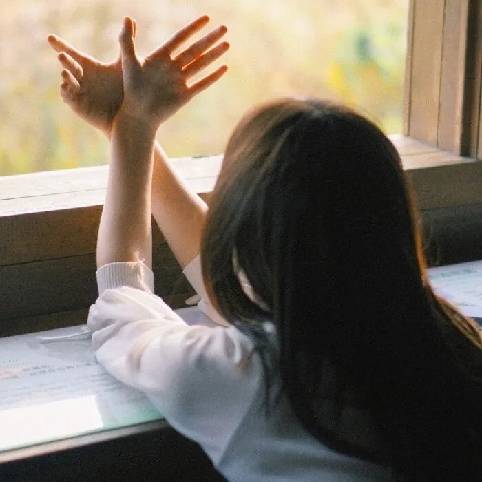 少年十五二十时粤语